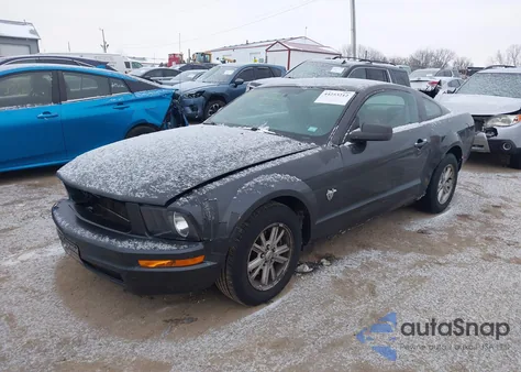 2009 Ford Mustang V6/V6 Premium z USA, uszkodzony, nr VIN 1ZVHT80NX95106442